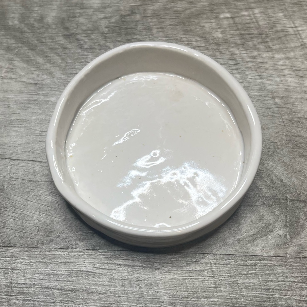 Handmade Circular Ceramic Reptile Dish